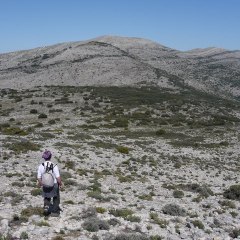 ZENderista