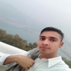 kaushik Bed