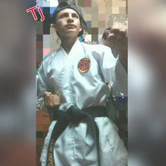 Artes Marciales Winston Macedo