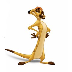 Funny Planet Everyday