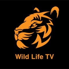 Wild life Tv