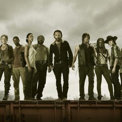 TV SERIES the walking dead s08e08