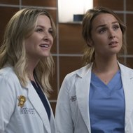 Online-HD || Grey's Anatomy Season 14