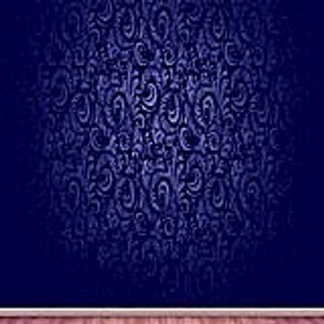 stevenerin5841