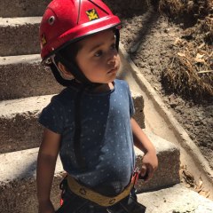 Funny Fun Toys With Erwin