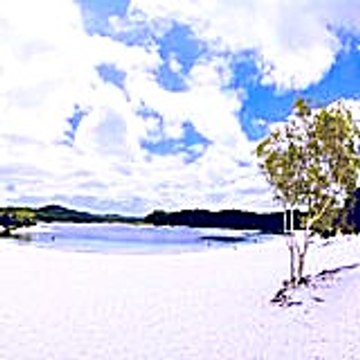 doloresjoan7203