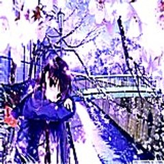 sandrawilliam4566