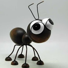 BlackAnt
