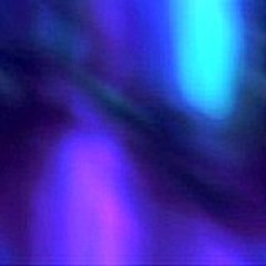 sylviamatthew7994