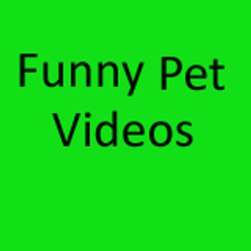 funny pet videos