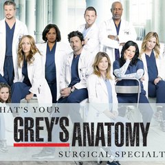 Grey's Anatomy Season 14 Full Episode
