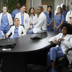 Grey's Anatomy Season 14 Full HD 720p
