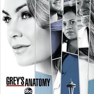 Grey's Anatomy Season 14 Full Watch