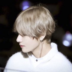 BTSparody