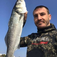 Mario Valleri Spearfishing