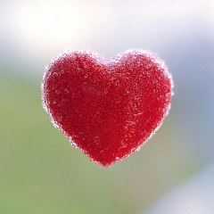Romantic Status Zone