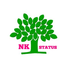 NK STATUS
