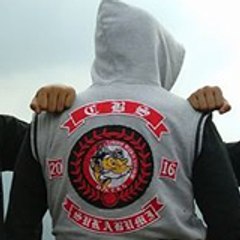 Mulya Iriandiss