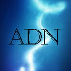 ADNCUARTETO
