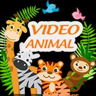 VideoAnimalChannel