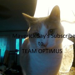 TEAM OPTIMUS DM