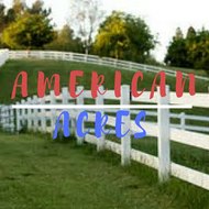 American Acres Farming