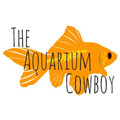 The Aquarium Cowboy