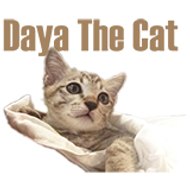 Daya The Cat