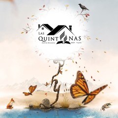 Séptimo Arte Quintanas