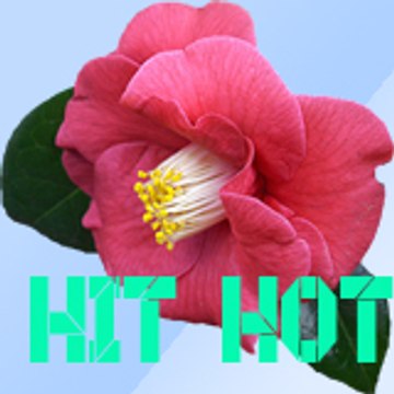 Hit video
