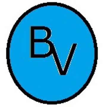 Buzzer Video