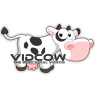 VIDCOW