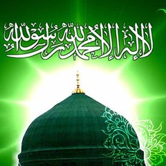 All Noor