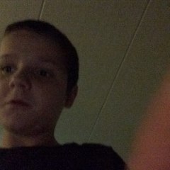Davidgamer
