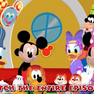 dm_70dd6480bc4130441b1cf745755a70fe