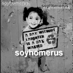 Soyhomerus