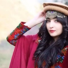 Pakhtoons Tv