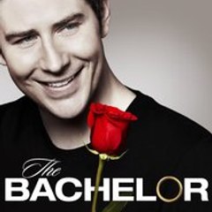 The Bachelor Season 22