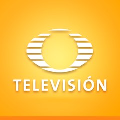 TELEVISIÓN
