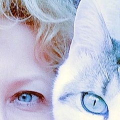 AMOUREUX DES ANIMAUX C'EST ICI   LOVERS OF ANIMALS