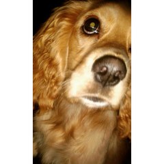 Parr Oyola Jesus David