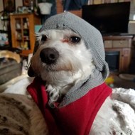 RVing Redneck Off Grid