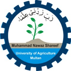 TEEZTAREEN.COM