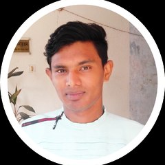 Bd Robin  360
