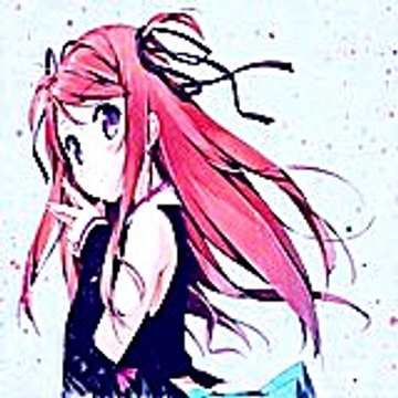 julierobert3889
