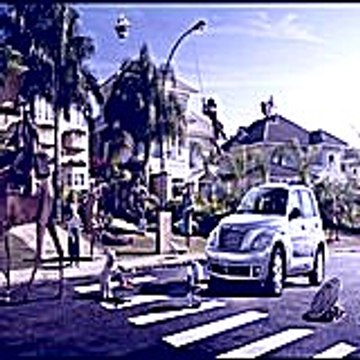 frankdaniel5587