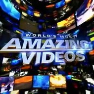 Amazing Videos