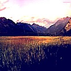 gracietroy8061