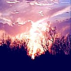 garymildred8178