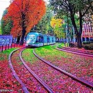 قطار السعادة